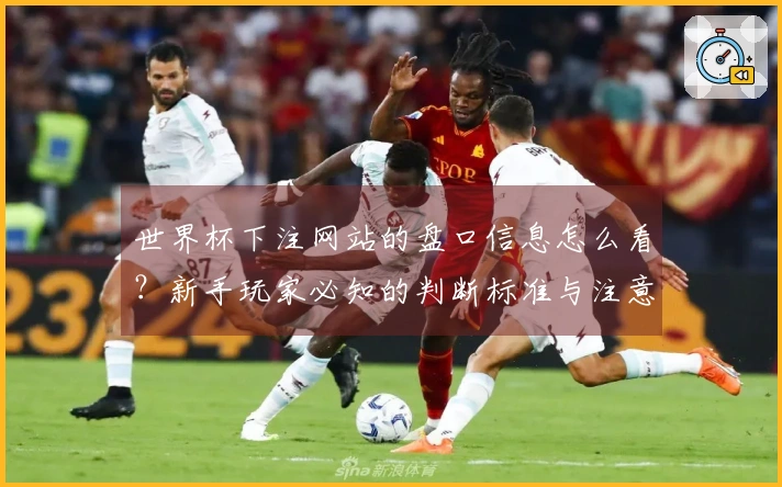 世界杯下注网站的盘口信息怎么看？新手玩家必知的判断标准与注意事项