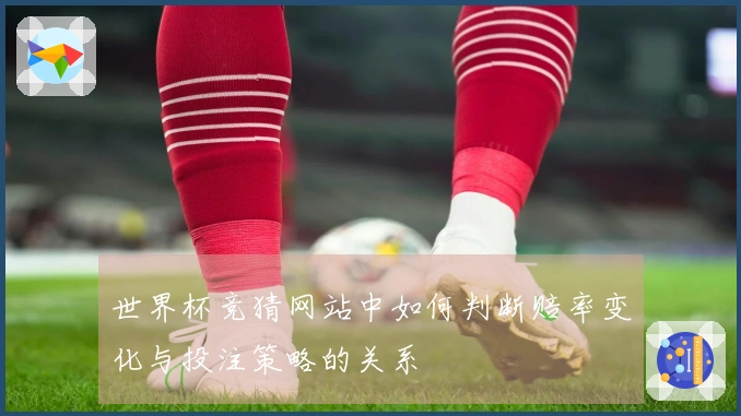 世界杯竞猜网站中如何判断赔率变化与投注策略的关系