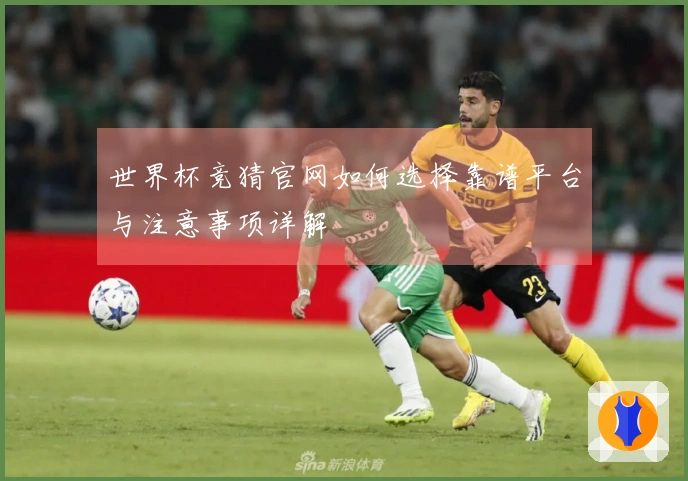 世界杯竞猜官网如何选择靠谱平台与注意事项详解