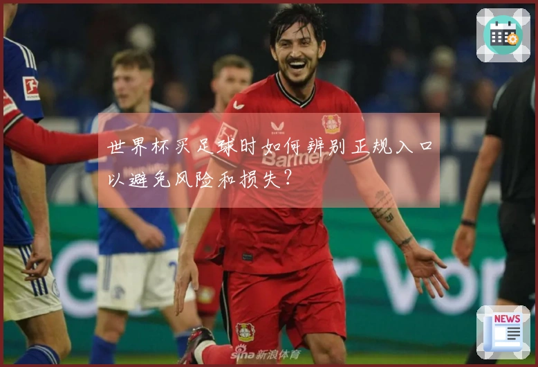 世界杯买足球时如何辨别正规入口以避免风险和损失？
